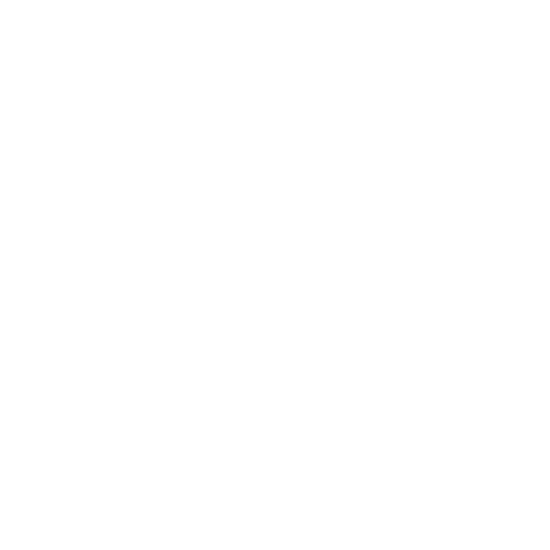 Affordable-Excellence-icon