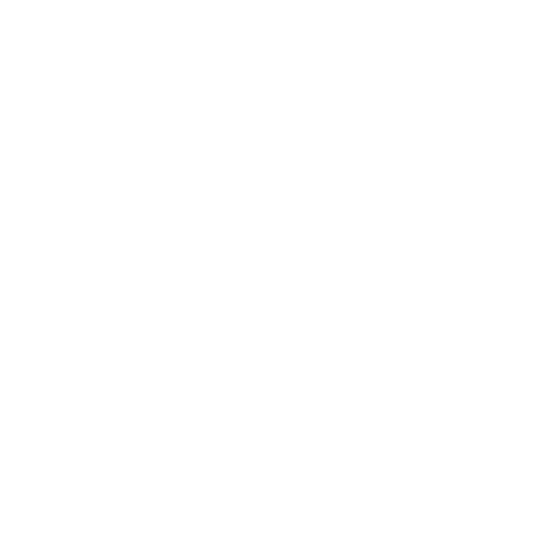 Expert-Interpretation-icon