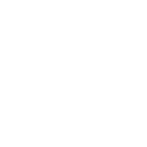 Multilingual-Staff-icon