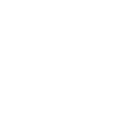 Patient-Safety-Firsticon