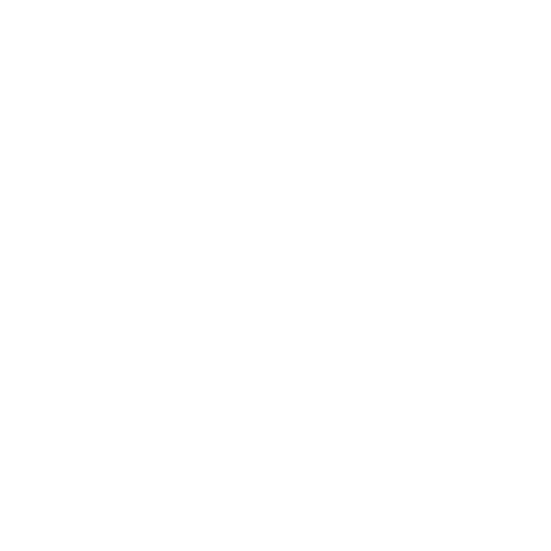 Rapid-Reporting-icon