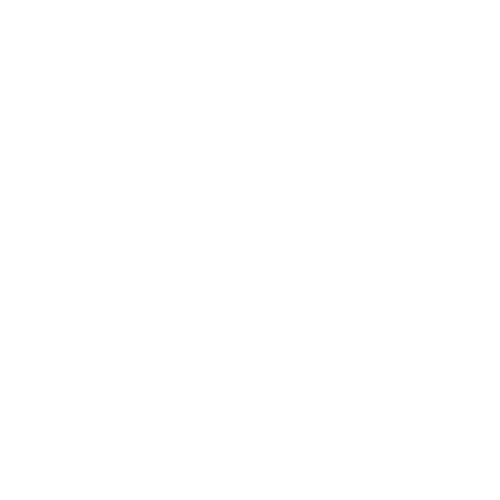 Uncompromising-Accuracy-icon