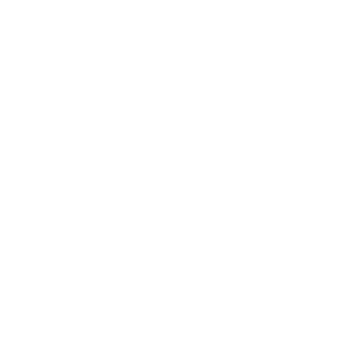 Wellness-Coaching-icon